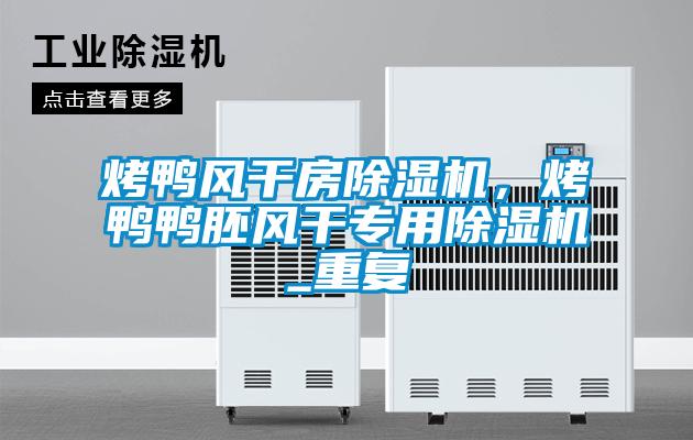 烤鴨風(fēng)干房除濕機(jī)，烤鴨鴨胚風(fēng)干專用除濕機(jī)_重復(fù)