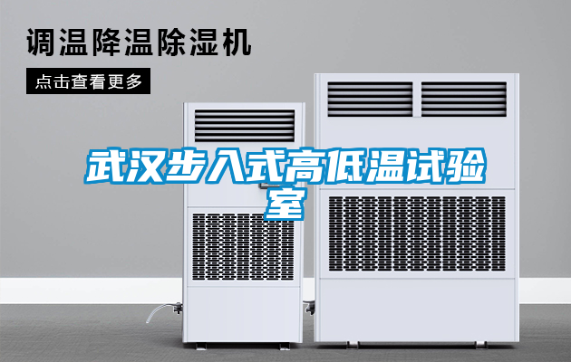 武漢步入式高低溫試驗室