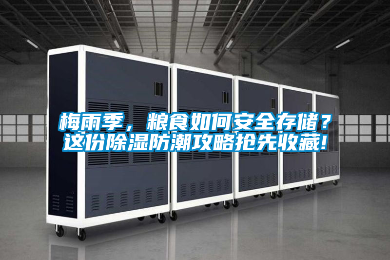 梅雨季，糧食如何安全存儲(chǔ)？這份除濕防潮攻略搶先收藏!