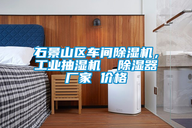 石景山區(qū)車間除濕機，工業(yè)抽濕機  除濕器廠家 價格