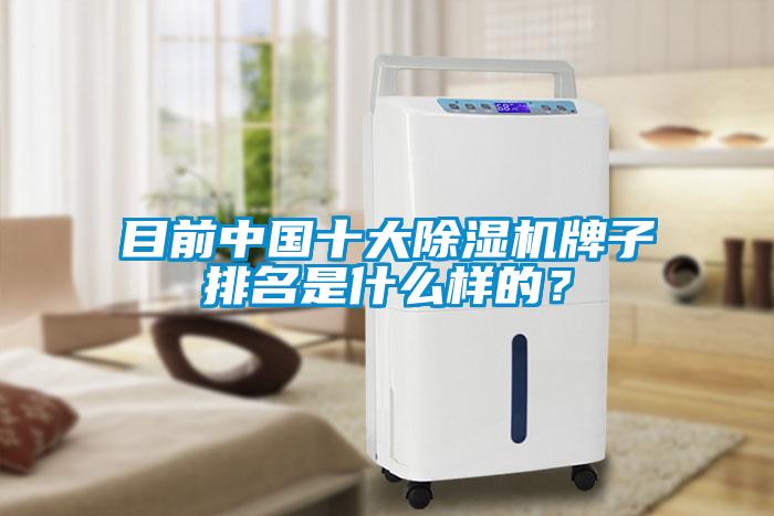 目前中國十大除濕機牌子排名是什么樣的？