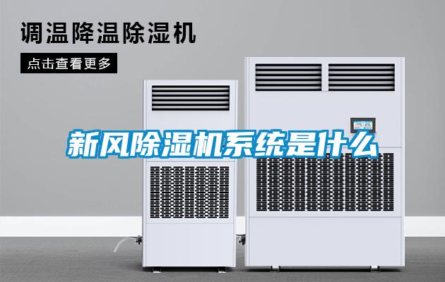 新風(fēng)除濕機(jī)系統(tǒng)是什么