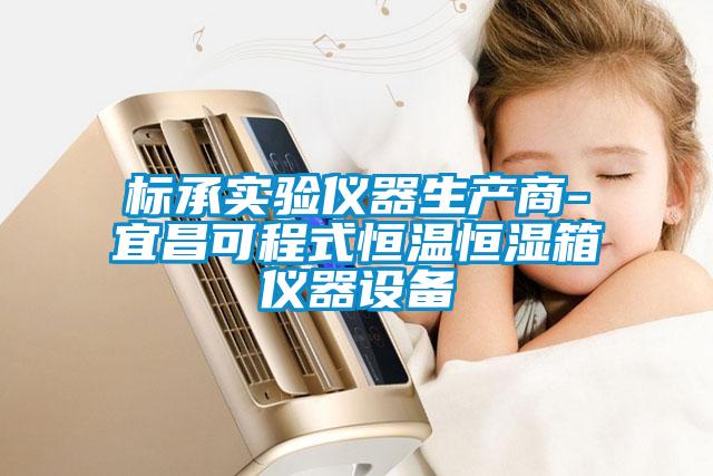 標承實驗儀器生產(chǎn)商-宜昌可程式恒溫恒濕箱儀器設(shè)備