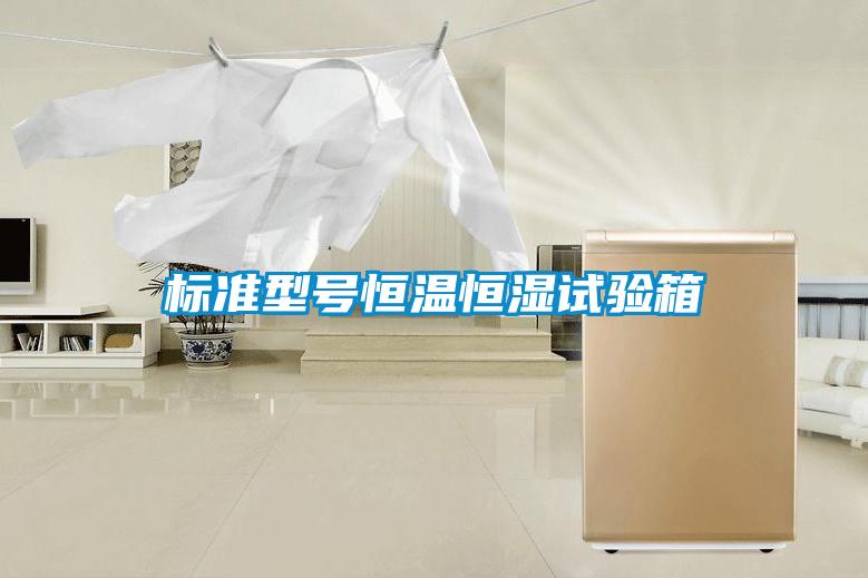 標準型號恒溫恒濕試驗箱