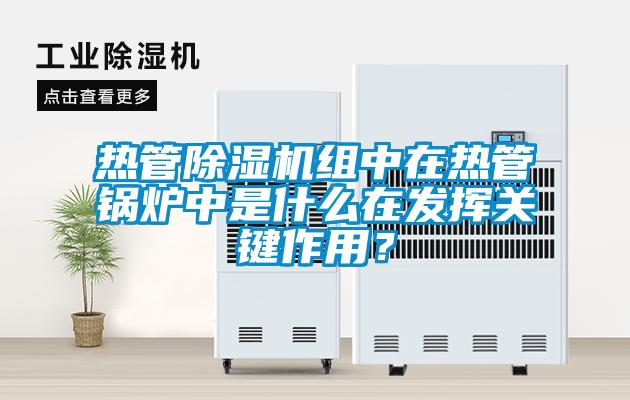 熱管除濕機(jī)組中在熱管鍋爐中是什么在發(fā)揮關(guān)鍵作用？