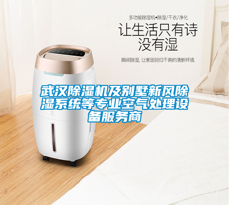 武漢除濕機(jī)及別墅新風(fēng)除濕系統(tǒng)等專業(yè)空氣處理設(shè)備服務(wù)商