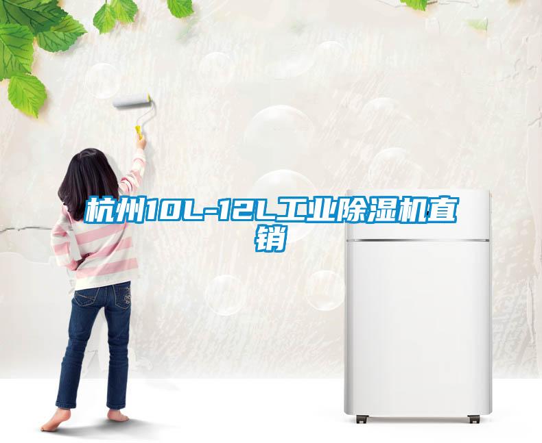 杭州10L-12L工業(yè)除濕機(jī)直銷
