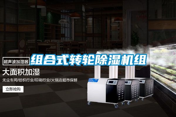 組合式轉(zhuǎn)輪除濕機(jī)組