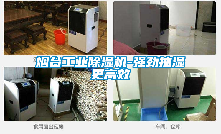煙臺(tái)工業(yè)除濕機(jī)-強(qiáng)勁抽濕更高效