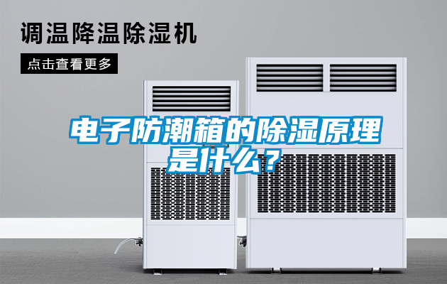 電子防潮箱的除濕原理是什么？