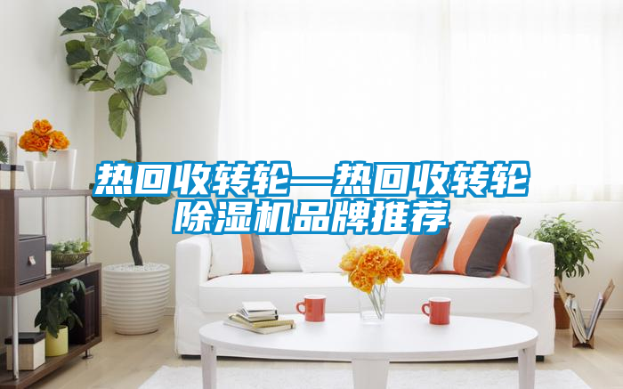 熱回收轉(zhuǎn)輪—熱回收轉(zhuǎn)輪除濕機品牌推薦
