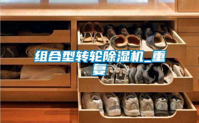 組合型轉(zhuǎn)輪除濕機(jī)_重復(fù)