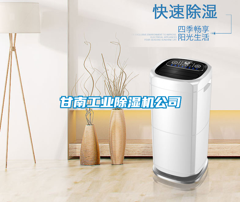 甘南工業(yè)除濕機公司