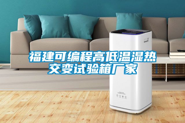 福建可編程高低溫濕熱交變試驗(yàn)箱廠家