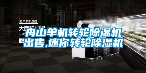 舟山單機轉(zhuǎn)輪除濕機出售,迷你轉(zhuǎn)輪除濕機
