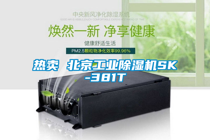 熱賣 北京工業(yè)除濕機SK-381T