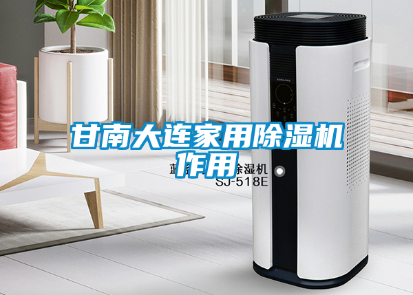 甘南大連家用除濕機作用