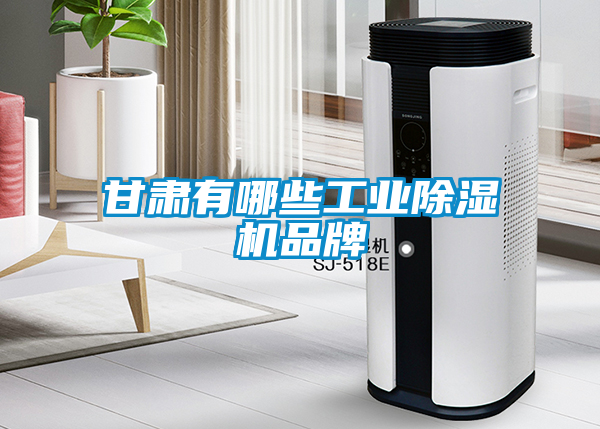 甘肅有哪些工業(yè)除濕機品牌