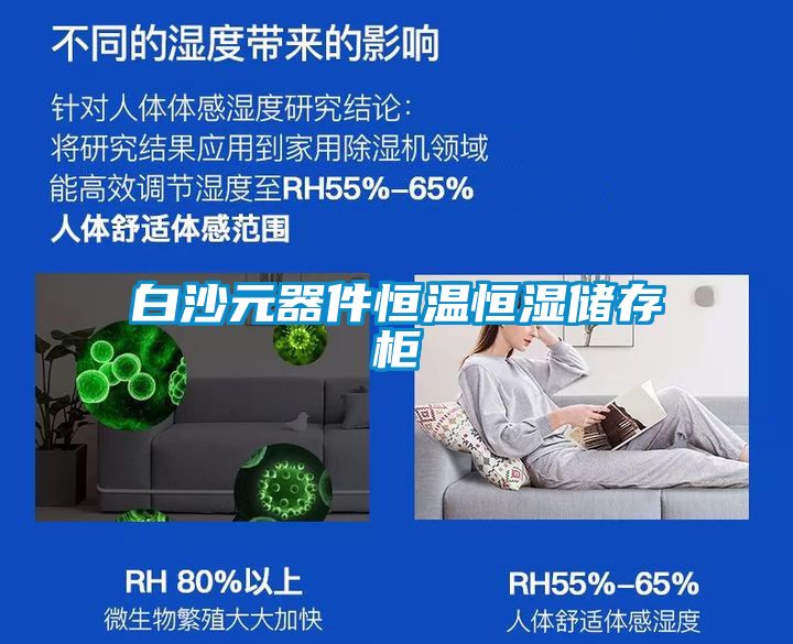 白沙元器件恒溫恒濕儲(chǔ)存柜