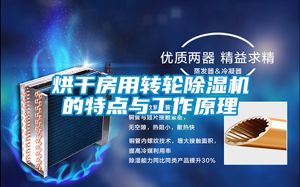 烘干房用轉(zhuǎn)輪除濕機(jī)的特點(diǎn)與工作原理