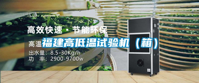 福建高低溫試驗(yàn)機(jī)（箱）
