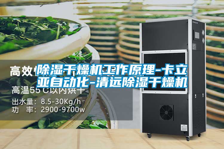 除濕干燥機(jī)工作原理-卡立亞自動化-清遠(yuǎn)除濕干燥機(jī)