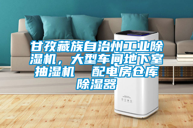 甘孜藏族自治州工業(yè)除濕機，大型車間地下室抽濕機  配電房倉庫除濕器