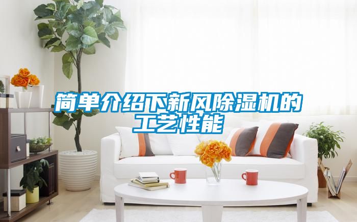 簡單介紹下新風(fēng)除濕機的工藝性能
