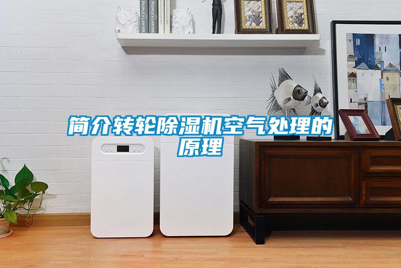 簡介轉(zhuǎn)輪除濕機空氣處理的原理