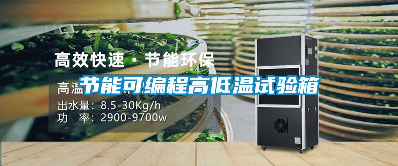 節(jié)能可編程高低溫試驗箱