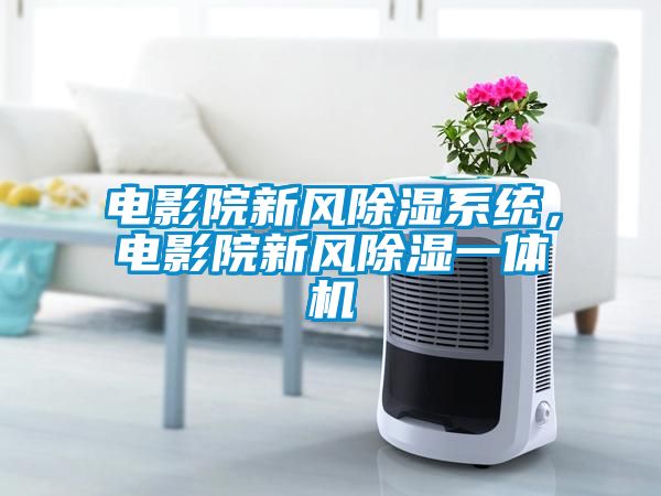 電影院新風(fēng)除濕系統(tǒng)，電影院新風(fēng)除濕一體機(jī)