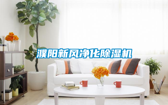 濮陽新風(fēng)凈化除濕機(jī)