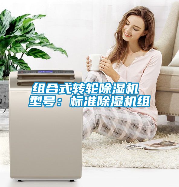 組合式轉(zhuǎn)輪除濕機(jī) 型號(hào)：標(biāo)準(zhǔn)除濕機(jī)組