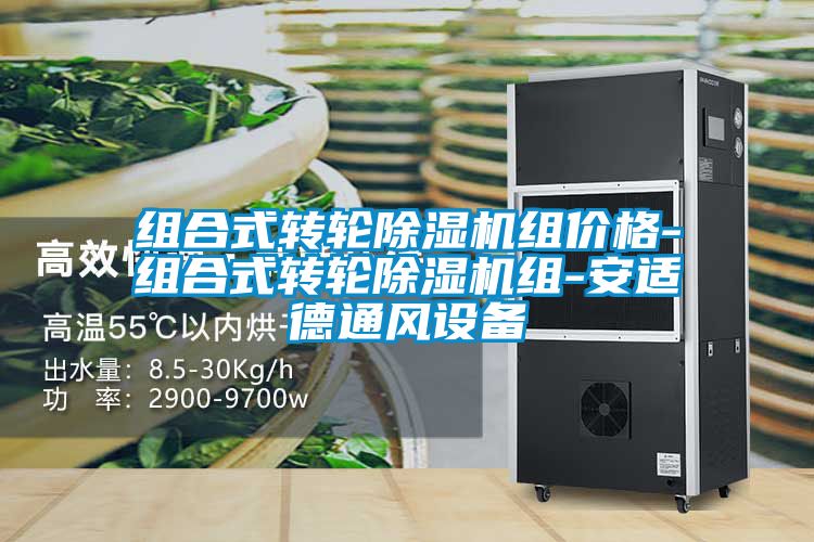 組合式轉(zhuǎn)輪除濕機組價格-組合式轉(zhuǎn)輪除濕機組-安適德通風設(shè)備
