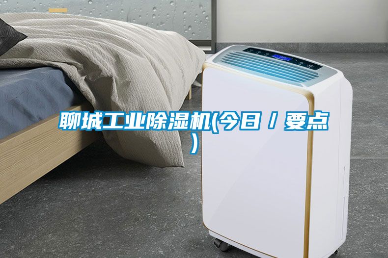 聊城工業(yè)除濕機(jī)(今日／要點(diǎn))