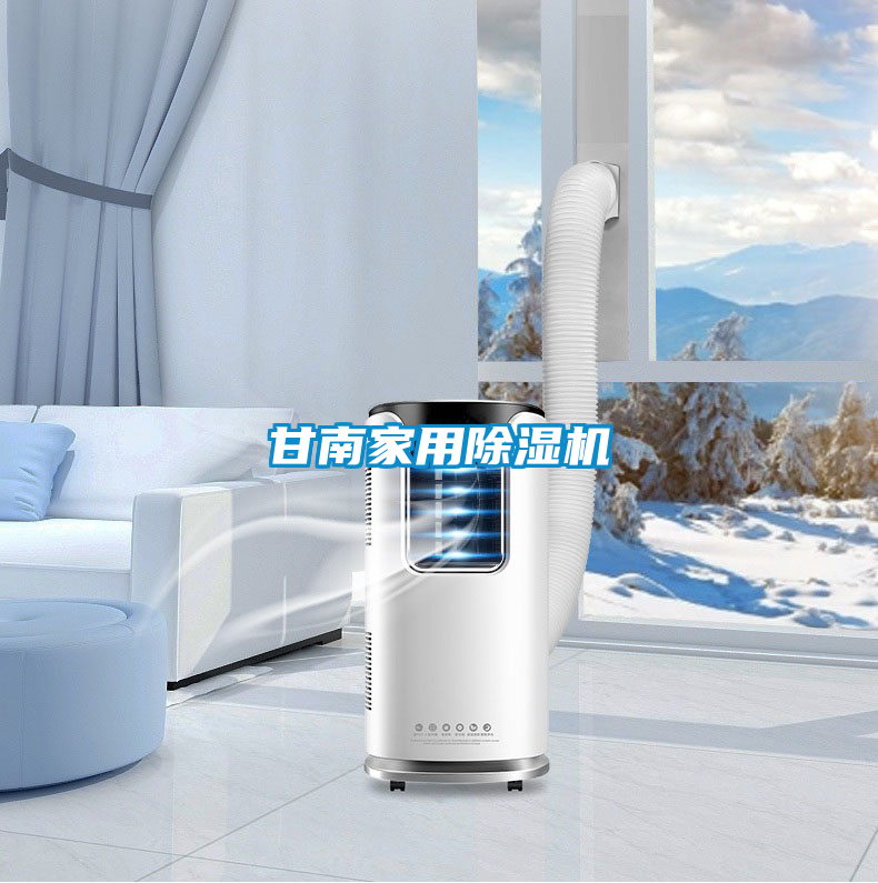 甘南家用除濕機