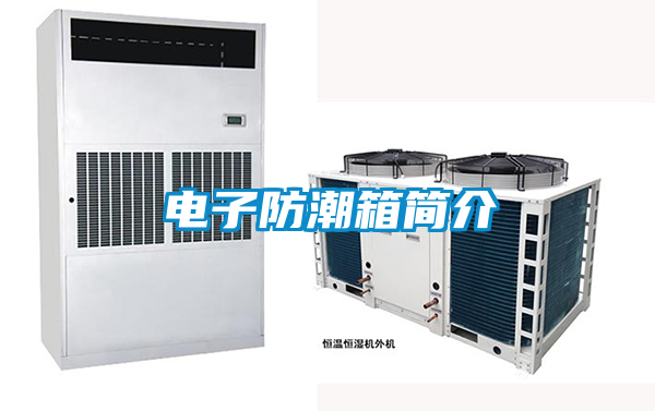 電子防潮箱簡介