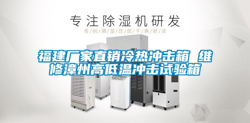 福建廠家直銷冷熱沖擊箱 維修漳州高低溫沖擊試驗(yàn)箱