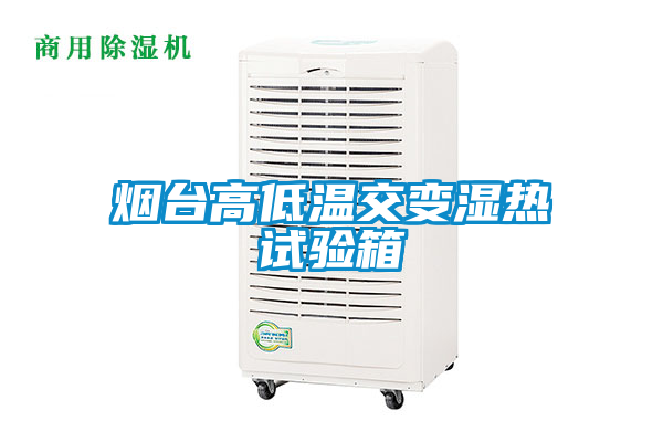 煙臺(tái)高低溫交變濕熱試驗(yàn)箱