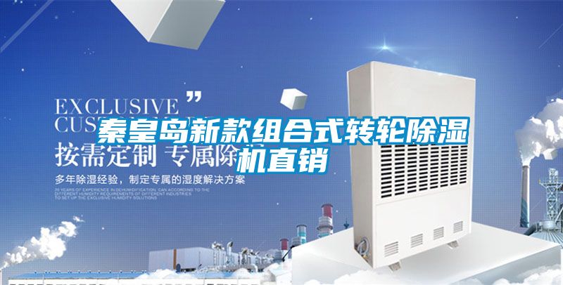 秦皇島新款組合式轉(zhuǎn)輪除濕機(jī)直銷