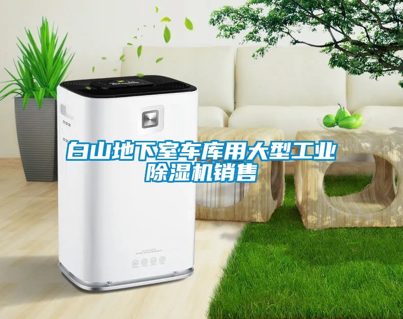 白山地下室車庫用大型工業(yè)除濕機(jī)銷售