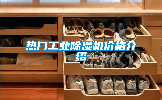 熱門工業(yè)除濕機價格介紹