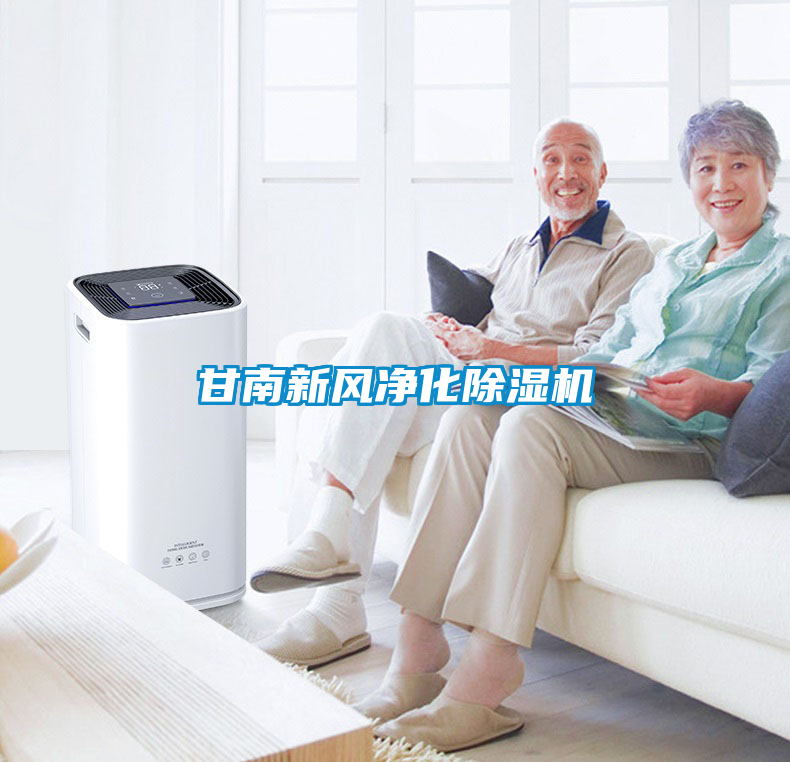 甘南新風凈化除濕機