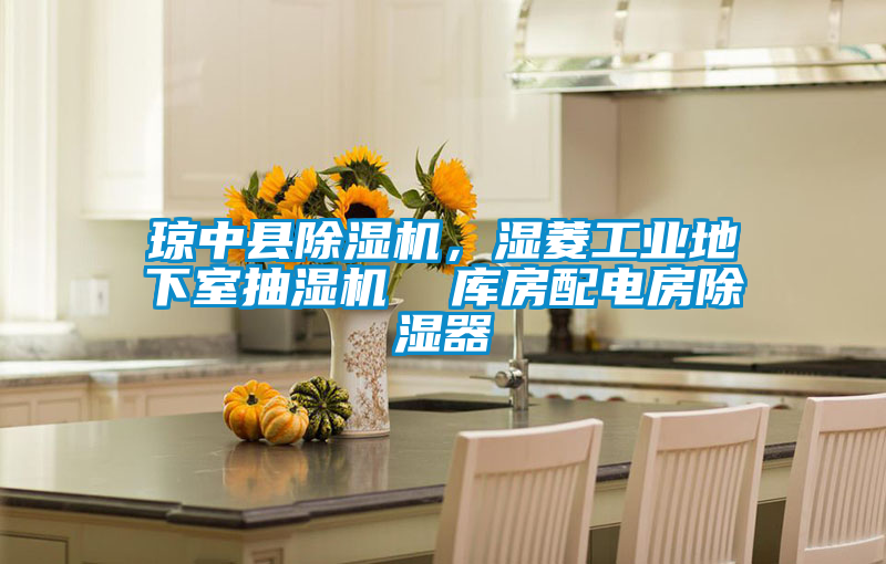 瓊中縣除濕機(jī)，濕菱工業(yè)地下室抽濕機(jī)  庫房配電房除濕器