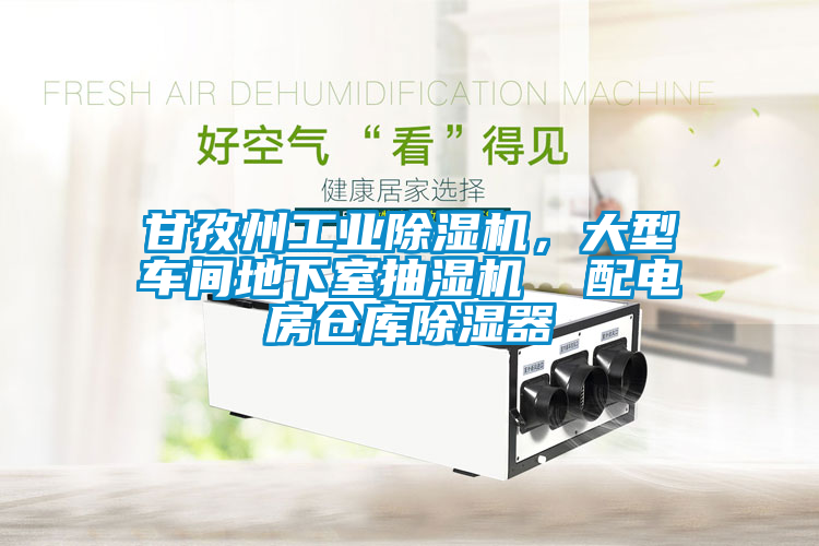 甘孜州工業(yè)除濕機，大型車間地下室抽濕機  配電房倉庫除濕器