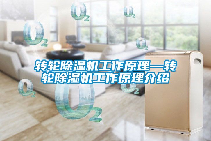 轉輪除濕機工作原理—轉輪除濕機工作原理介紹