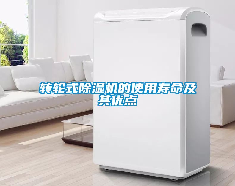 轉(zhuǎn)輪式除濕機(jī)的使用壽命及其優(yōu)點(diǎn)