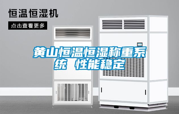 黃山恒溫恒濕稱(chēng)重系統(tǒng) 性能穩(wěn)定
