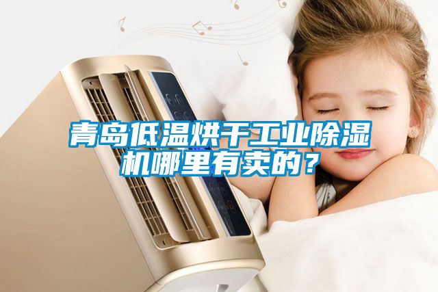 青島低溫烘干工業(yè)除濕機哪里有賣的？
