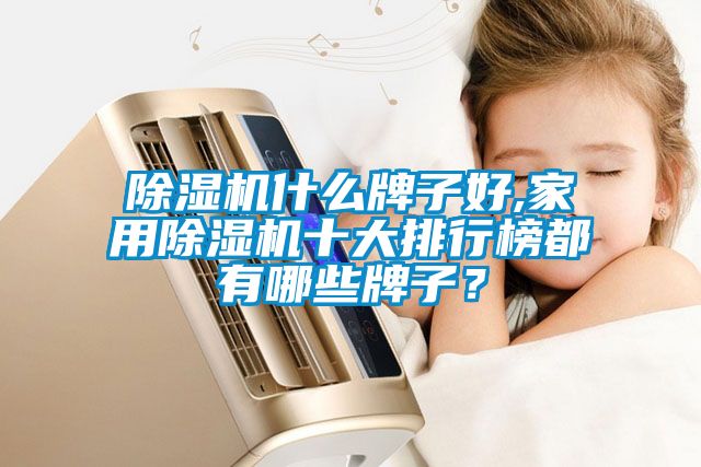 除濕機什么牌子好,家用除濕機十大排行榜都有哪些牌子？